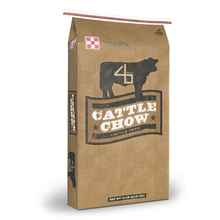Dairy Beef Feeds. Brown cattle chow bag.