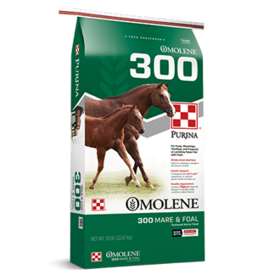 Omolene #300 Growth Horse Feed