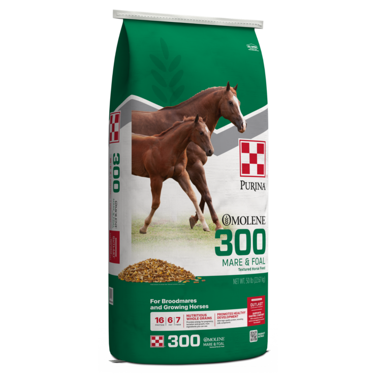 green bag of Omolene #300 Growth Horse Feed