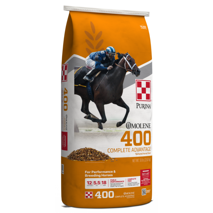 Yellow/orange bag of Omolene #400 Complete Advantage Horse Feed