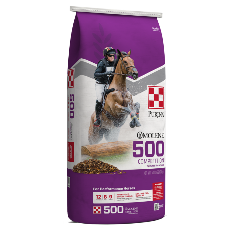 Purple bag of Omolene #500 Competition Horse Feed