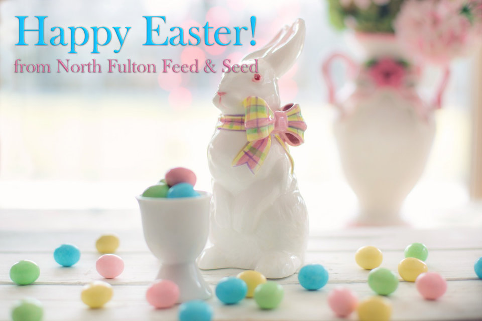 Happy Easter from North Fulton Feed & Seed in Alpharetta, GA