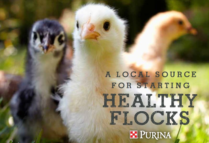 Purina Chick Days - March 10