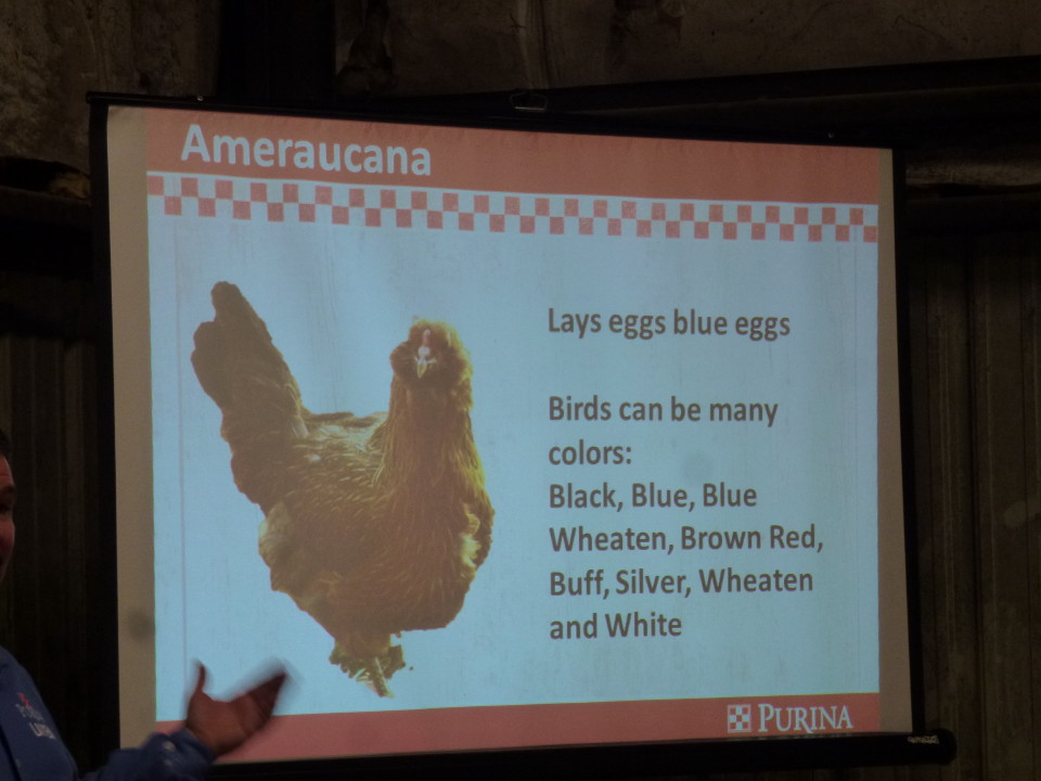 Chick Days Seminar at North Fulton Feed & Seed in Alpharetta, GA March 10, 2015