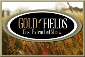 Gold Fields Dust Extracted Straw