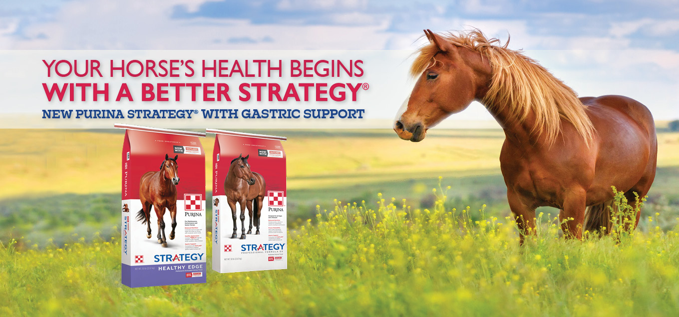 Purina Strategy Horse Feeds Product Updates North Fulton Feed Seed