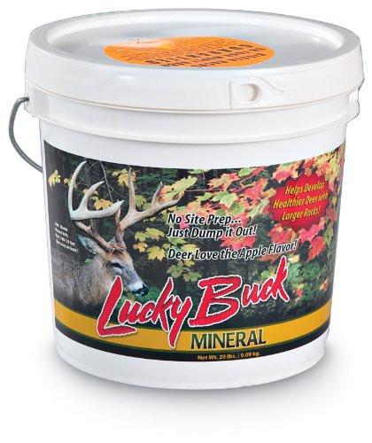 Lucky Buck Mineral in pail.