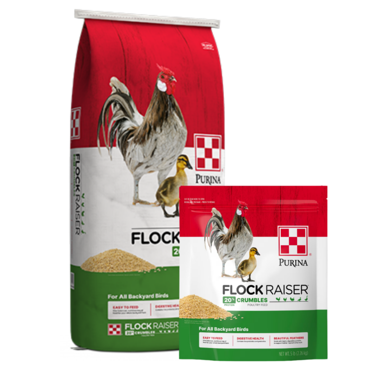 Purina Flock Raiser 20
