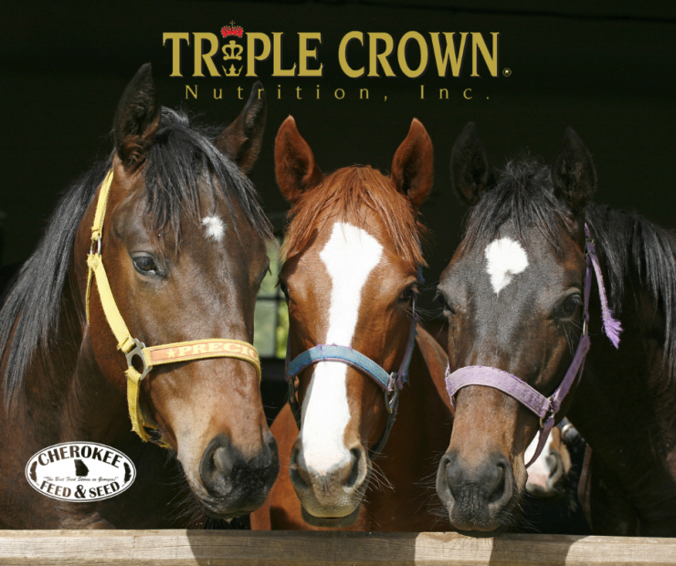 Save $2 on Triple Crown Horse Feeds
