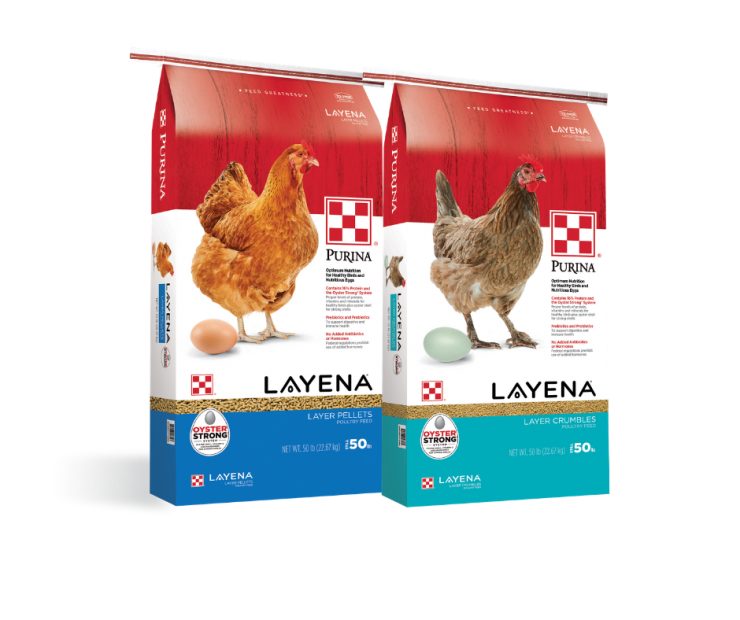 Layena Pellets or Crumbles | Purina Premium Poultry Feed available at North Fulton Feed & Seed, Alpaharetta, GA