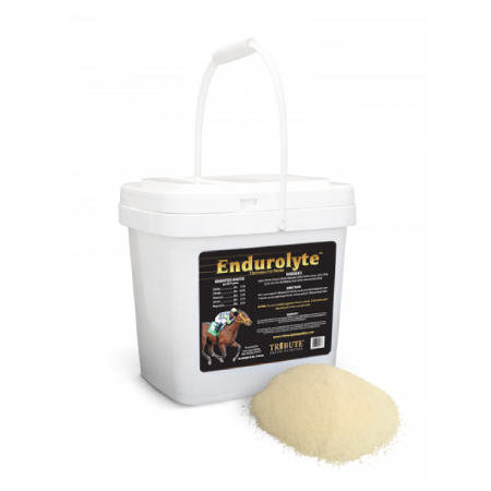 Endurolyte Electrolyte