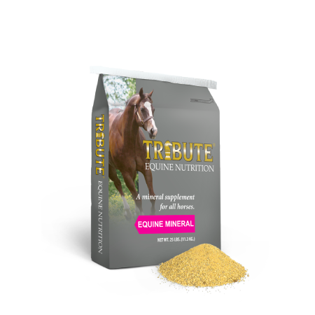 Equine 12-8 Mineral