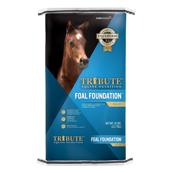 Tribute Foal Foundation 50-lb bag