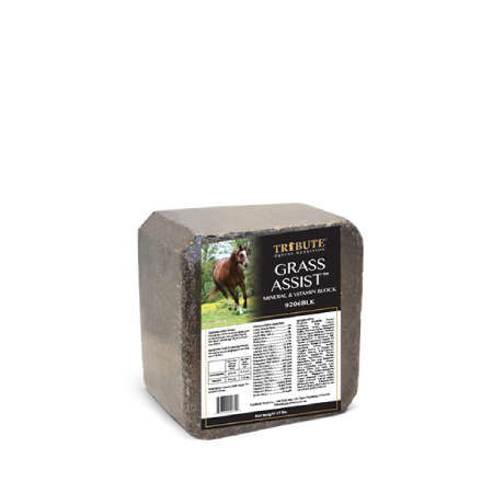 Grass Assist Block