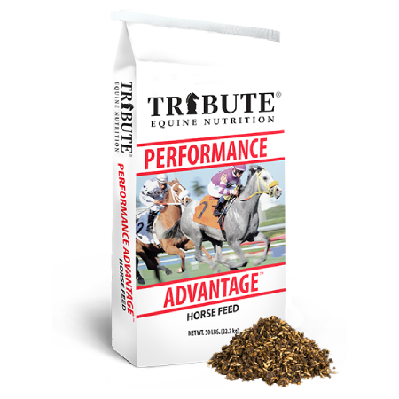 Performance Advantage