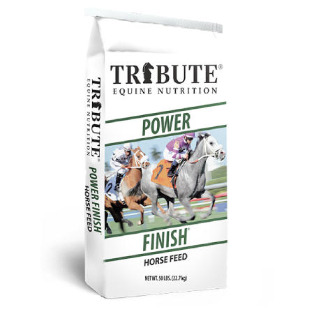 Power Finish