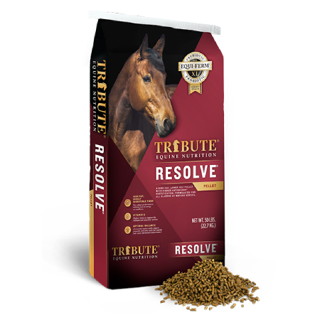 Tribute Resolve horse feed