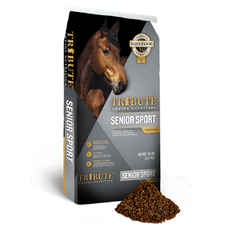 senior sport