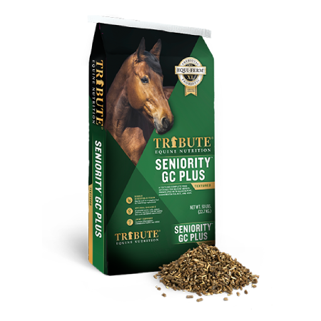 Seniority GC Plus