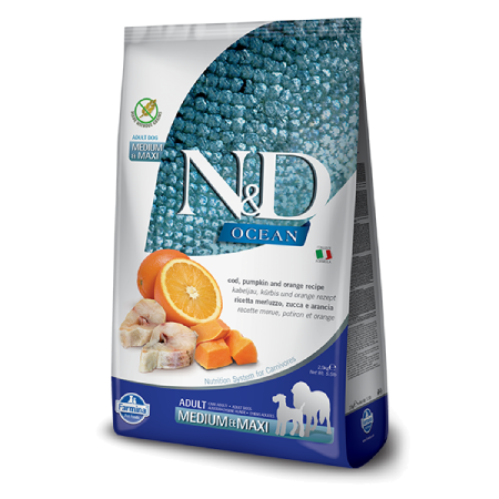 Ocean: Cod, Pumpkin and Orange Adult Medium & Maxi