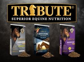 Tribute Feeds Available at North Fulton Feed - North Fulton Feed & Seed