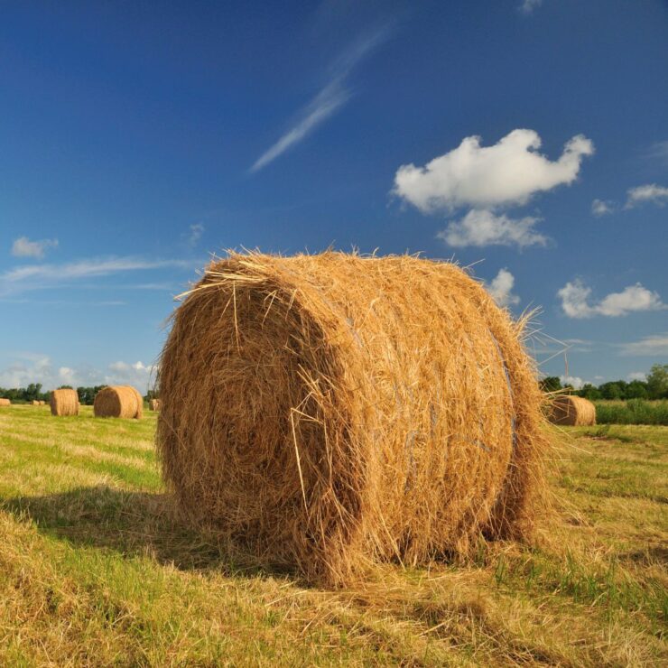 5 Essential Tips for Harvesting High-Quality Hay: photo of hay bale in a field