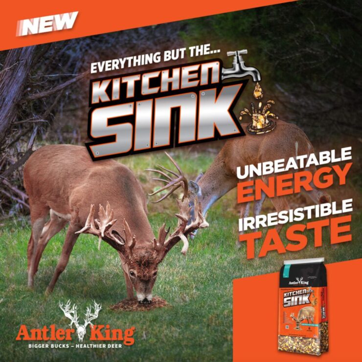 Introducing Everything but the Kitchen Sink