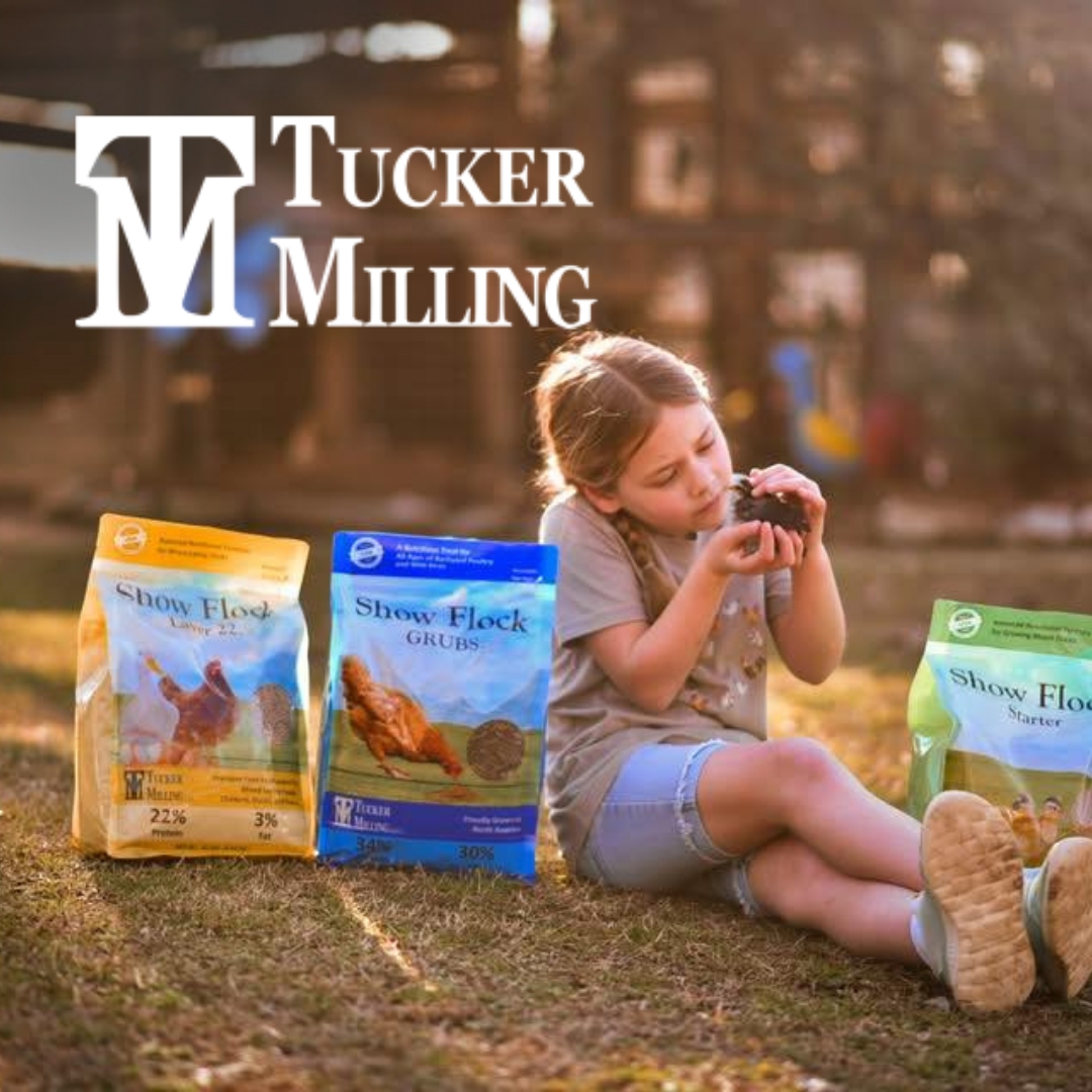 Tucker Milling Feeds. Girl with chicks and feed bags.