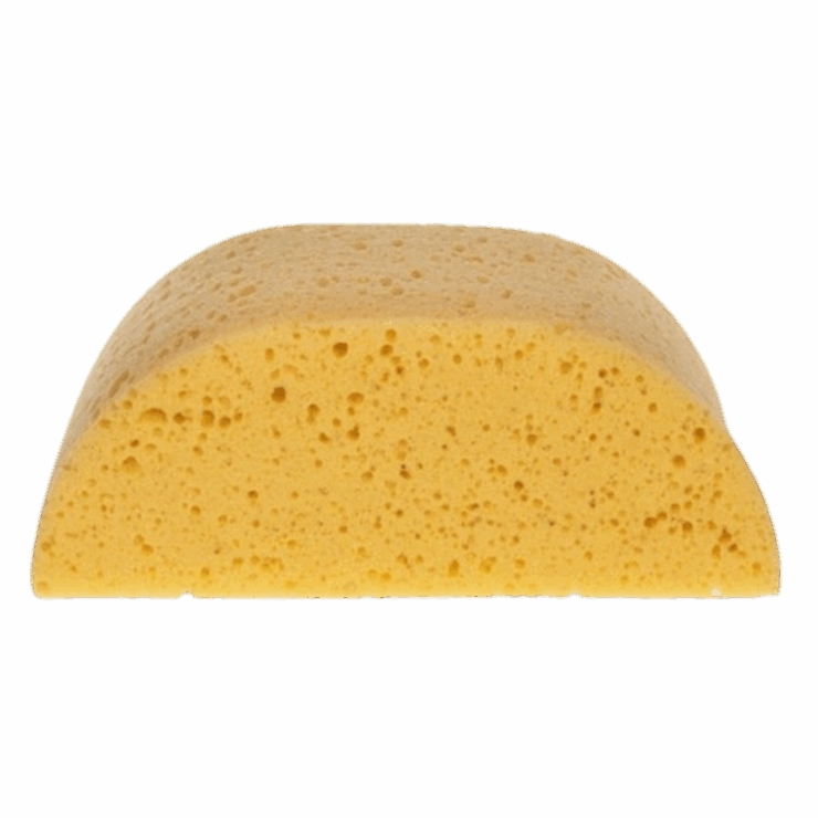 Hadera Humpback Sponge - xl