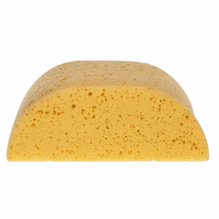 Hadera II Humpback Sponge