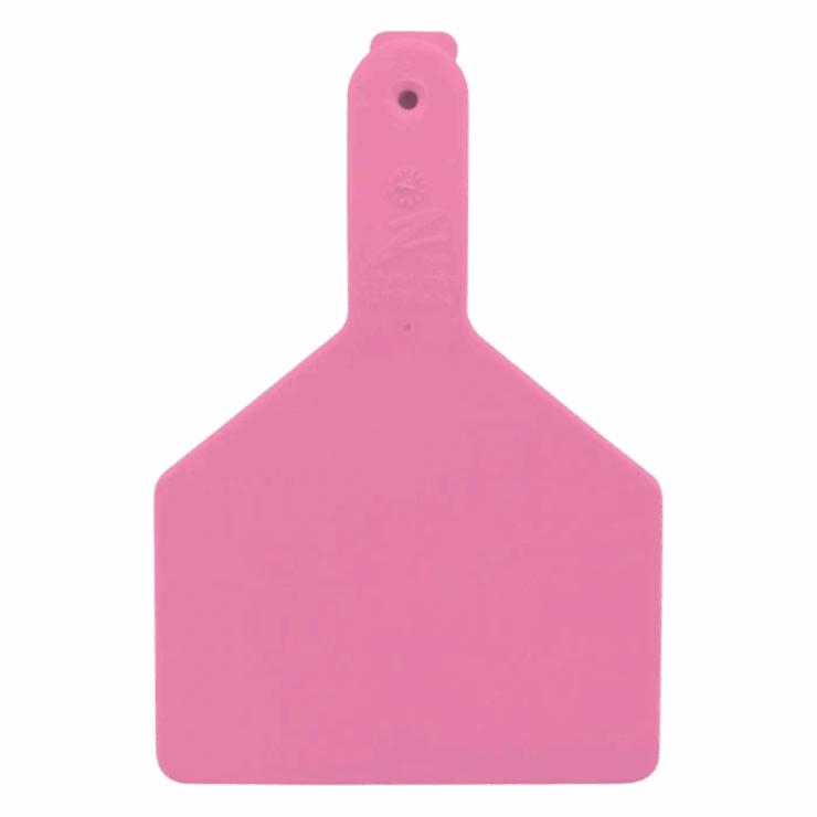 Datamars Z Tags 1-piece Pink Blank Cow Tag