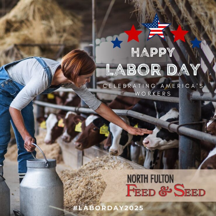 Closed Labor Day