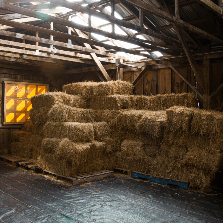 Hay stored and stacked in a barn