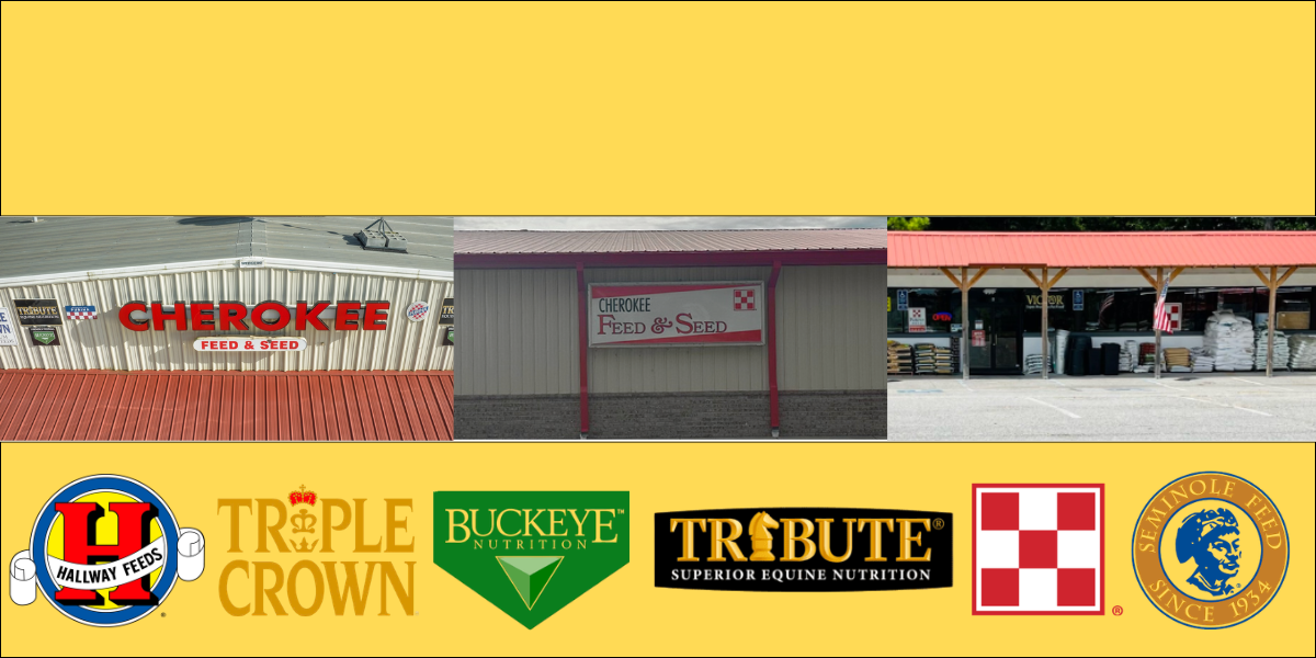 Customer Appreciation Week