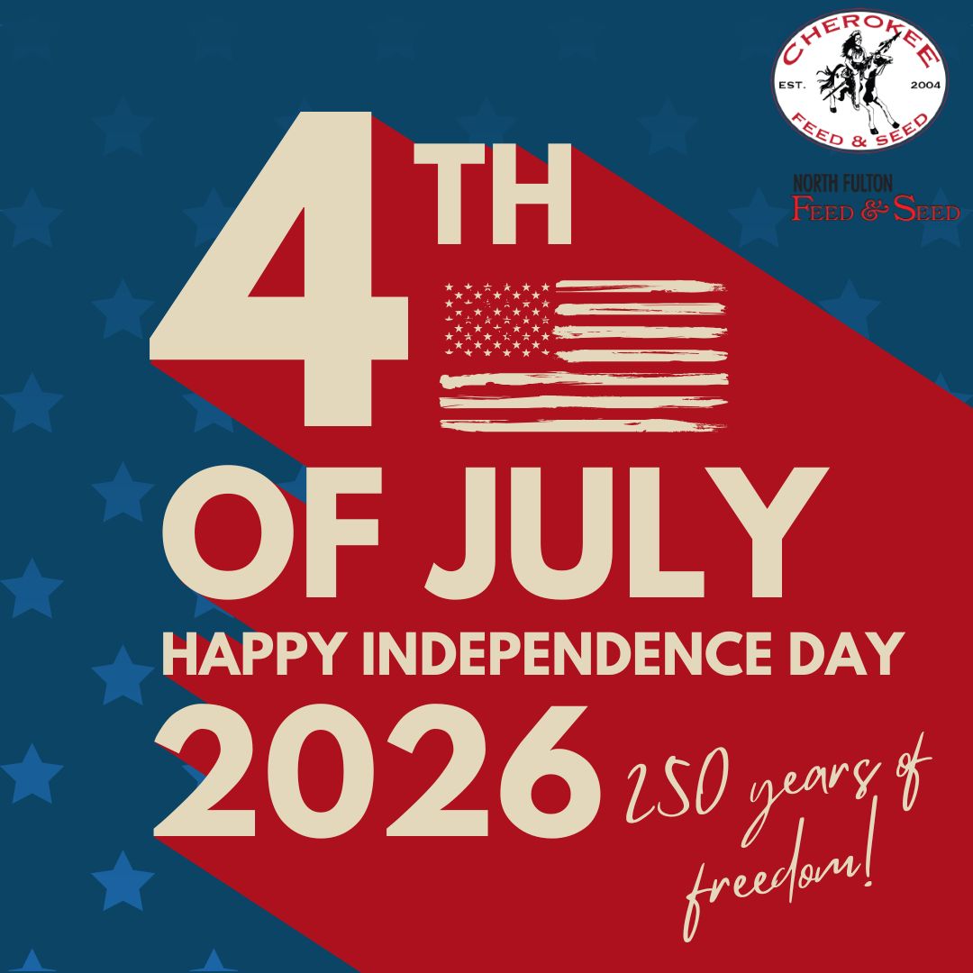 Graphic that's American-themed says "4th of July, Happy Independence Day"